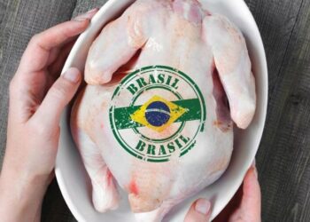 Pasi e bllokoi BE në tregjet europiane, Shqipëria ndalon importin e mishit nga Brazili