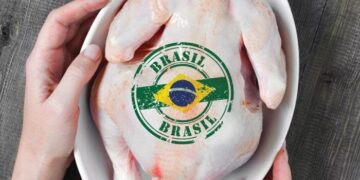 Pasi e bllokoi BE në tregjet europiane, Shqipëria ndalon importin e mishit nga Brazili