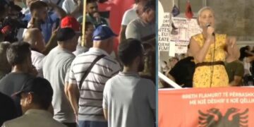 Protestuesja e kthyer nga emigrimi: Erdha sepse atdheu është në rrezik, kauza jonë është e pavdekshme