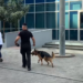 “Do të copëtoheni o të pafe!” Zbardhet mesazhi kërcënues që ngriti në këmbë policinë, iu dërgua institucioneve shtetërore