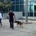 Alarmi për bombë në disa institucione të vendit dhe në SPAK, zbulohen nga u dërguan emailet kërcënuese
