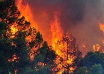 Shqipëria në “sezonin” e zjarreve, 30 vatra në 24 orë
