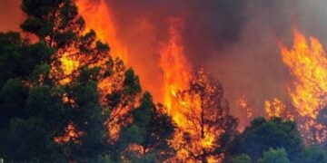 Shqipëria në “sezonin” e zjarreve, 30 vatra në 24 orë