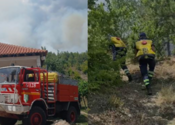 Zjarri përfshin masivin pyjor në Lugaxhi të Elbasanit, flakët avancojnë drejt banesave