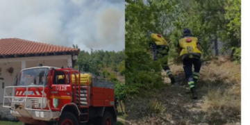 Zjarri përfshin masivin pyjor në Lugaxhi të Elbasanit, flakët avancojnë drejt banesave