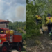 Zjarri përfshin masivin pyjor në Lugaxhi të Elbasanit, flakët avancojnë drejt banesave