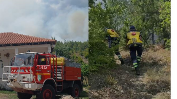 Zjarri përfshin masivin pyjor në Lugaxhi të Elbasanit, flakët avancojnë drejt banesave