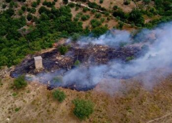 Bie zjarr në fshatin Çorrush të Mallakastës, digjet mbi 1 hektarë tokë