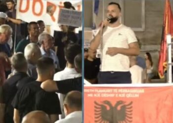 Përfaqësuesi i Diasporës: Na quani turistë, duam përfaqësim në Parlament