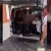 Goditet trafikimi i emigrantëve në Elbasan, arrestohen 3 persona