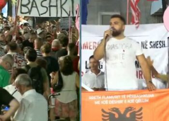 Emigranti nga Gjermania: Diktatura ka zënë rrënjë, shqiptarët s’e duan më këtë pushtet dhe opozitë
