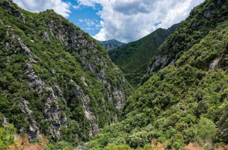 Tragjedi në kufirin Shqipëri-Greqi/ Humb jetën një 20-vjeçar nga Kili