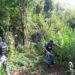 Aksion antidrogë/ Asgjësohet parcela me mbi 1100 bimë narkotike, arrestohen dy persona
