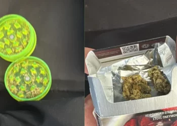 Qeni antidrogë zbulon kanabis në kufi, ndalohen dy të rinj në Qafë-Botë