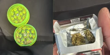 Qeni antidrogë zbulon kanabis në kufi, ndalohen dy të rinj në Qafë-Botë