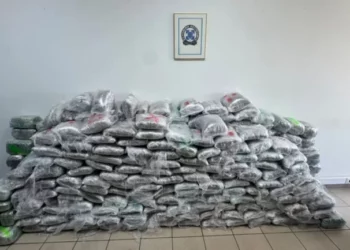 Sekuestrohen 324 kg kanabis, gjenden në kamionë duke u transportuar nga Shqipëria drejt Turqisë