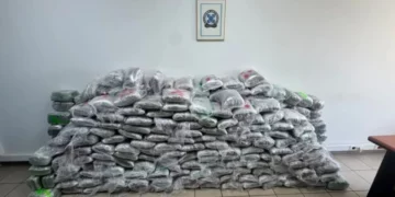 Sekuestrohen 324 kg kanabis, gjenden në kamionë duke u transportuar nga Shqipëria drejt Turqisë