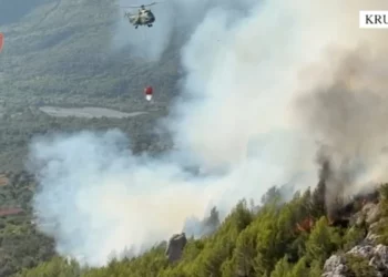Arrestohet i moshuari, ndezi zjarr për djegien e barit, por flakët u përhapën në malin e Krujës