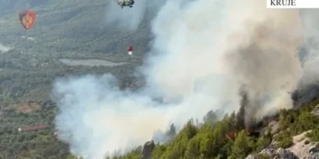 Arrestohet i moshuari, ndezi zjarr për djegien e barit, por flakët u përhapën në malin e Krujës