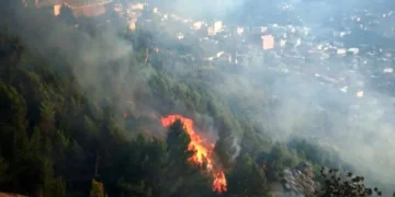 “Po përpiqesha ta fikja zjarrin”, Prokuroria liron të moshuarin nga Kruja, Policia nuk kishte prova