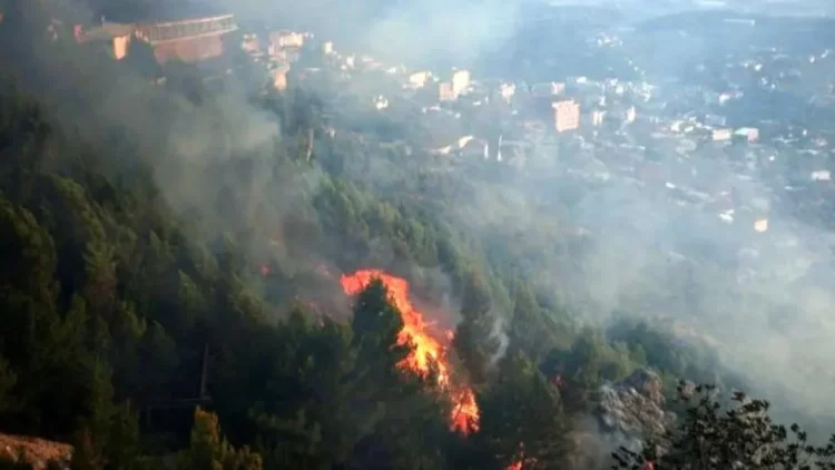 “Po përpiqesha ta fikja zjarrin”, Prokuroria liron të moshuarin nga Kruja, Policia nuk kishte prova