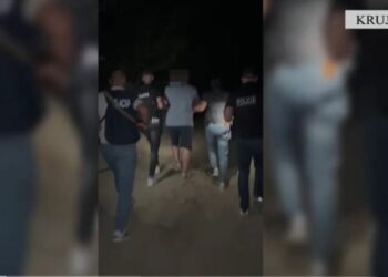 I dënuar me 4 vite burg për kultivim droge, kapet në Krujë 40-vjeçari