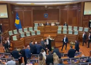 Seanca në Kuvendin e Kosovës, plas sherri mes deputetëve, Kurti goditet me vezë