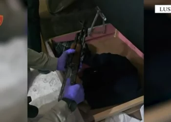 Drogë në makinë dhe armë në shtëpi, arrestohen në flagrancë babë e bir në Lushnje
