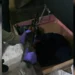 Drogë në makinë dhe armë në shtëpi, arrestohen në flagrancë babë e bir në Lushnje