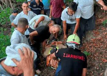 Ra nga 50 metra lartësi, shpëton mrekullisht 51-vjeçari në Mallakastër