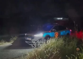 Tronditet Lushnja! Një person vret nënën dhe plagos rëndë babanë me sqepar e më pas arratiset (Emri)