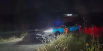 Tronditet Lushnja! Një person vret nënën dhe plagos rëndë babanë me sqepar e më pas arratiset (Emri)