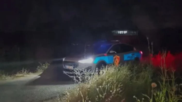 Tronditet Lushnja! Një person vret nënën dhe plagos rëndë babanë me sqepar e më pas arratiset (Emri)