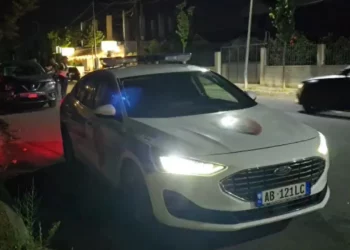 Vrau nënën dhe plagosi rëndë babanë me sqepar, arrestohet autori i krimit makabër në Lushnje