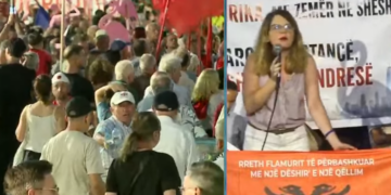 Politologia nga diaspora rrëfen dramën: Mamaja erdhi për pushime por u sëmur, urgjenca nuk i përgjigjej