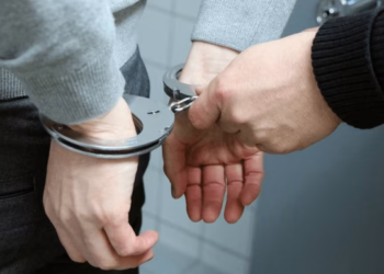 Po transportonin 15 shtetas afrikanë drejt Malit të Zi, arrestohen dy të rinj në Shkodër