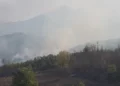 Dëme të mëdha nga zjarri në Priskë, një shtëpi e djegur dhe familje të evakuuara, shkrumbohen pyje dhe ullishte