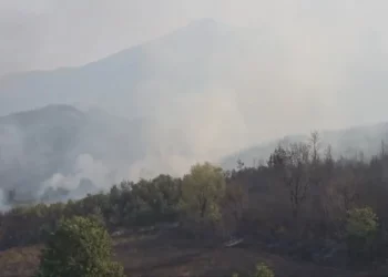 Dëme të mëdha nga zjarri në Priskë, një shtëpi e djegur dhe familje të evakuuara, shkrumbohen pyje dhe ullishte