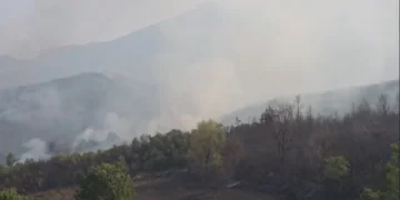 Dëme të mëdha nga zjarri në Priskë, një shtëpi e djegur dhe familje të evakuuara, shkrumbohen pyje dhe ullishte