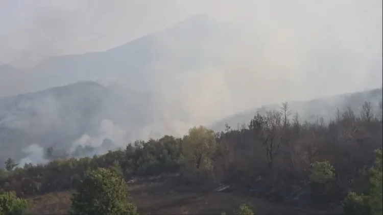 Dëme të mëdha nga zjarri në Priskë, një shtëpi e djegur dhe familje të evakuuara, shkrumbohen pyje dhe ullishte