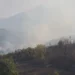 Dëme të mëdha nga zjarri në Priskë, një shtëpi e djegur dhe familje të evakuuara, shkrumbohen pyje dhe ullishte
