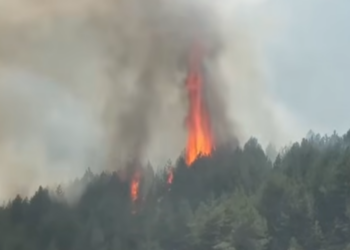 Zjarri del jashtë kontrollit në Pukë, digjen 3 banesa