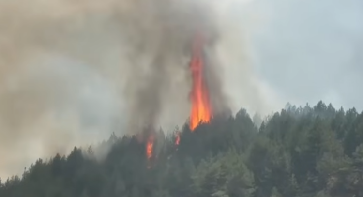 Zjarri del jashtë kontrollit në Pukë, digjen 3 banesa