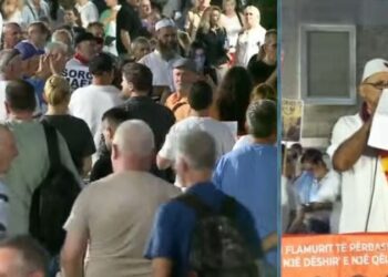 Qytetari: Dinastia e Ramoviçit është e sofistikuar, ajo e Berishës i takon drejtësisë! Patronazhistët, ‘kufoma’ pa shtyllë kurrizore