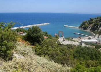 Dy brigje, një kauzë: Aktivistët lundrojnë nga Italia në mbështetje të “Revolucionit të Flamingove”