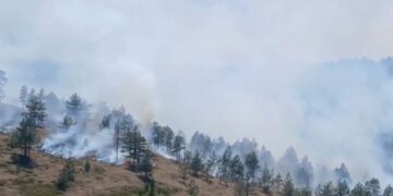 Flakët përfshijnë pyjet e Tërbunit në Pukë, dyshohet për zjarrvënie të qëllimshme