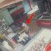 Të dyshuar për 6 raste vjedhjeje në 24 orët e fundit, prangosen 2 persona në Tiranë