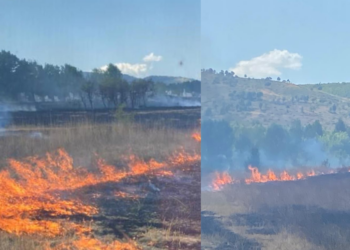 Zjarr në Kagjinas të Ersekës, era favorizon flakët dhe situata del jashtë kontrollit