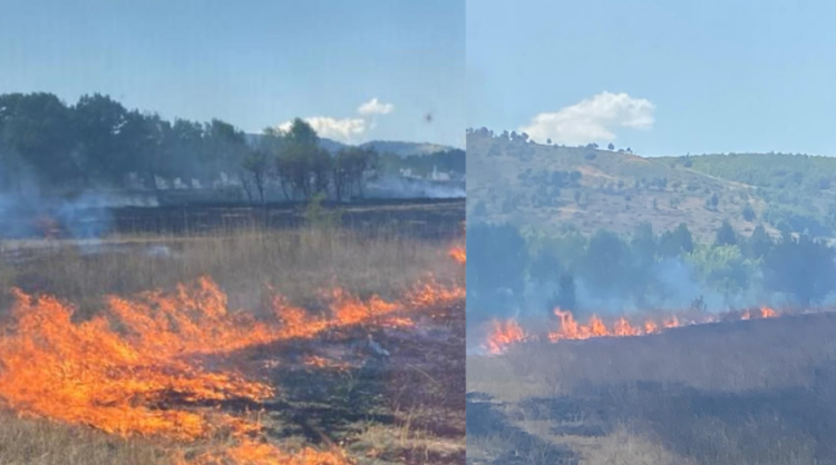Zjarr në Kagjinas të Ersekës, era favorizon flakët dhe situata del jashtë kontrollit