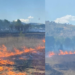 Zjarr në Kagjinas të Ersekës, era favorizon flakët dhe situata del jashtë kontrollit